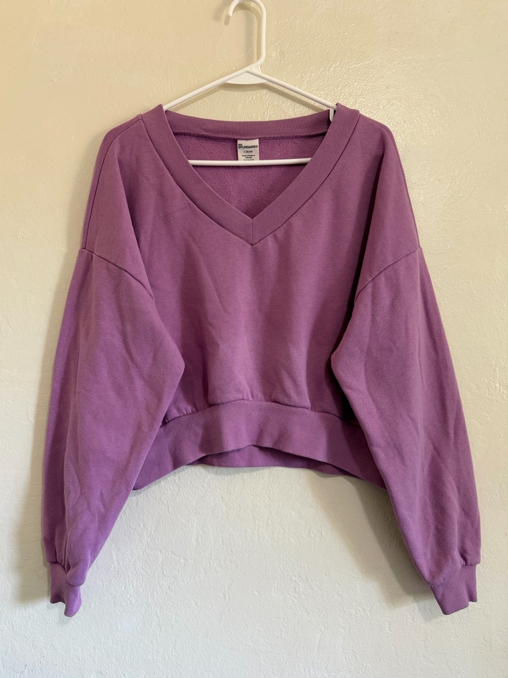 No Boundaries Y2K Purple/Lilac Cropped V-Neck Sweatshirt